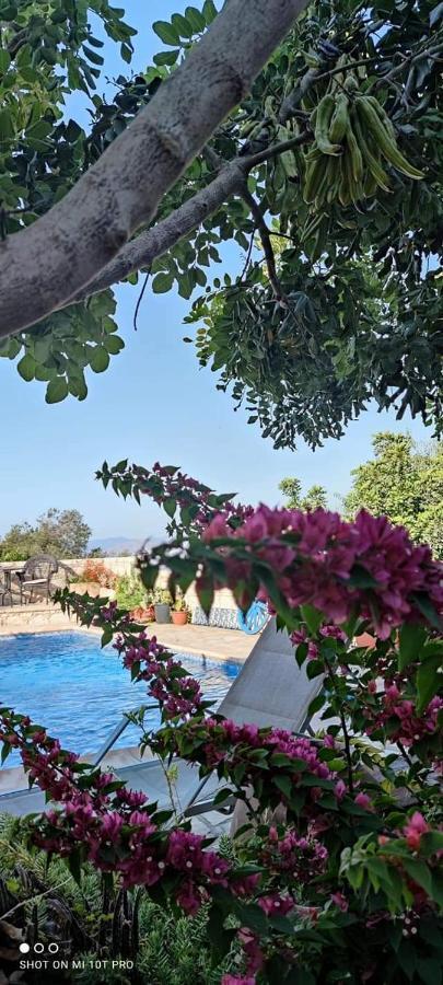 Polis Aliki'S House 1+ 2旅馆 外观 照片