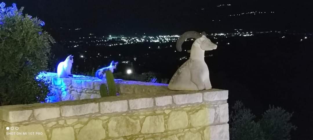Polis Aliki'S House 1+ 2旅馆 外观 照片