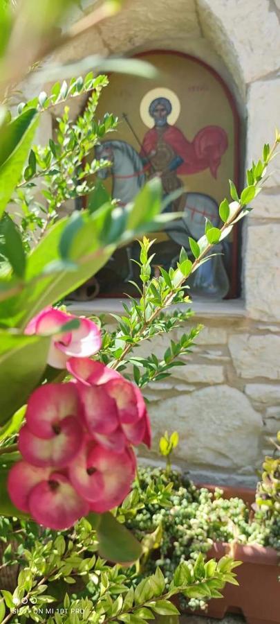 Polis Aliki'S House 1+ 2旅馆 外观 照片