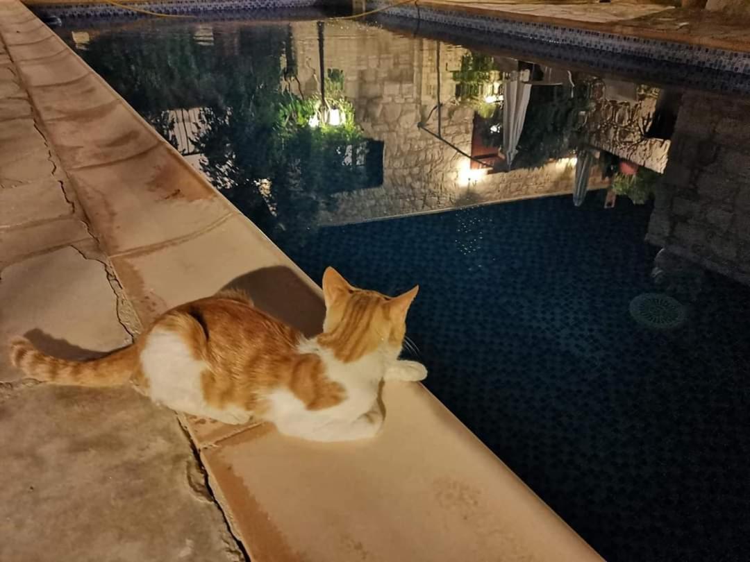 Polis Aliki'S House 1+ 2旅馆 外观 照片