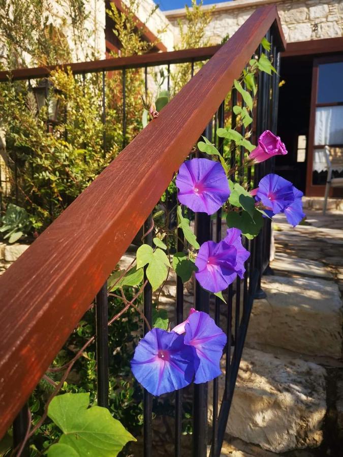 Polis Aliki'S House 1+ 2旅馆 外观 照片